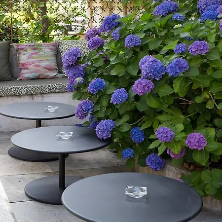 Hotel Adonis Ajaccio - Albion Ajaccio (Corsica)