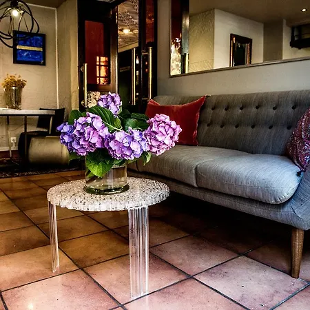 Hotel Adonis Ajaccio - Albion
