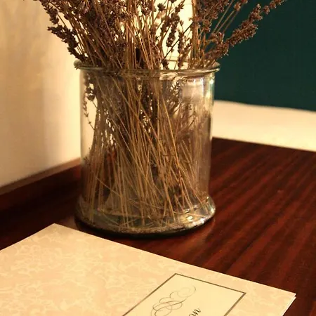 Albion فندق أجاكسيو