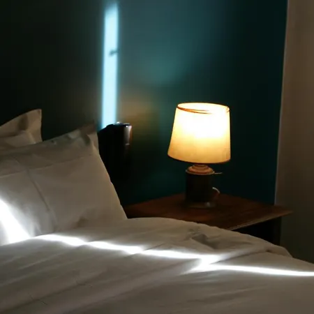 Hotel Adonis Ajaccio - Albion