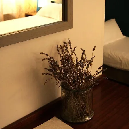 Hotel Adonis Ajaccio - Albion Ajaccio (Corsica)