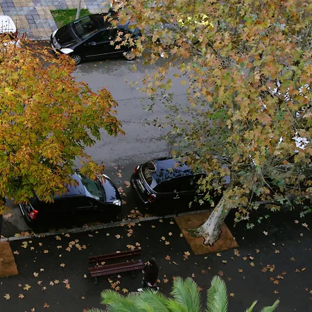 Albion فندق أجاكسيو