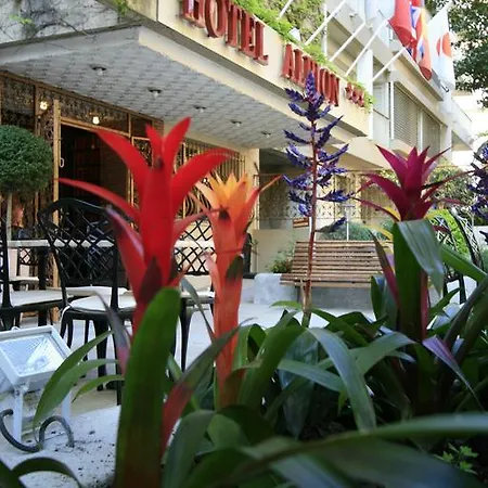 Hotel Adonis Ajaccio - Albion
