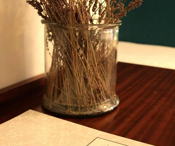 Albion מלון אז'אקסיו