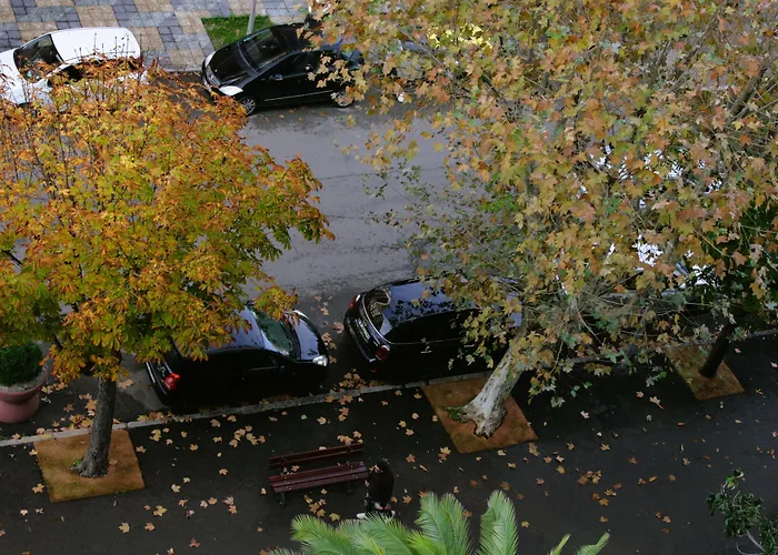 Albion מלון אז'אקסיו